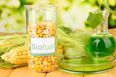 Caerwent Brook biofuel availability